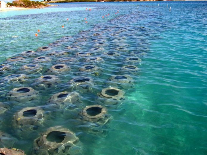 REEF-BALL-696x522 (2018_10_08 13_33_54 UTC).jpg